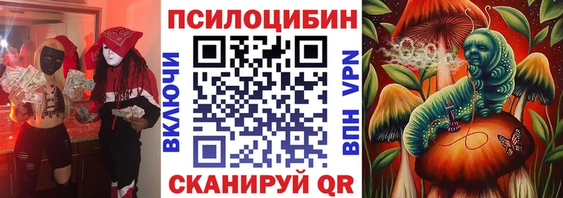 Галлюциногенные грибы мухоморы  darknet телеграм  Асино 