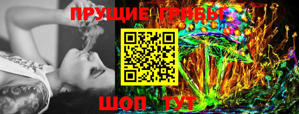 Галлюциногенные грибы Cubensis Асино