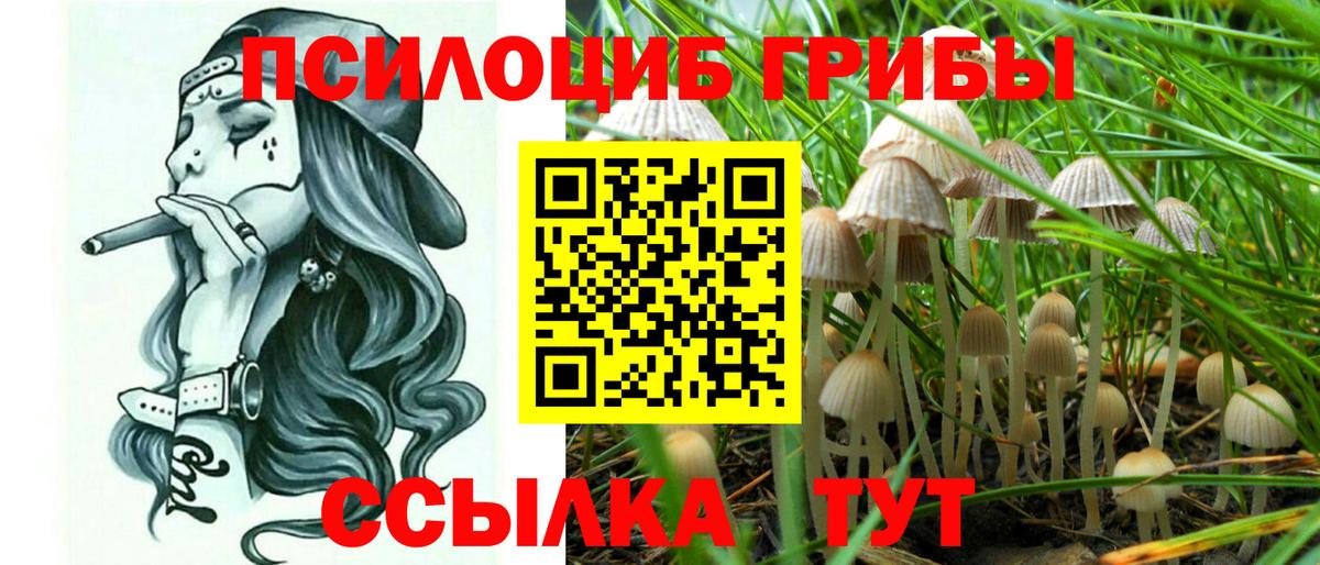Асино  как найти   Вход с VPN  Галлюциногенные грибы мицелий 