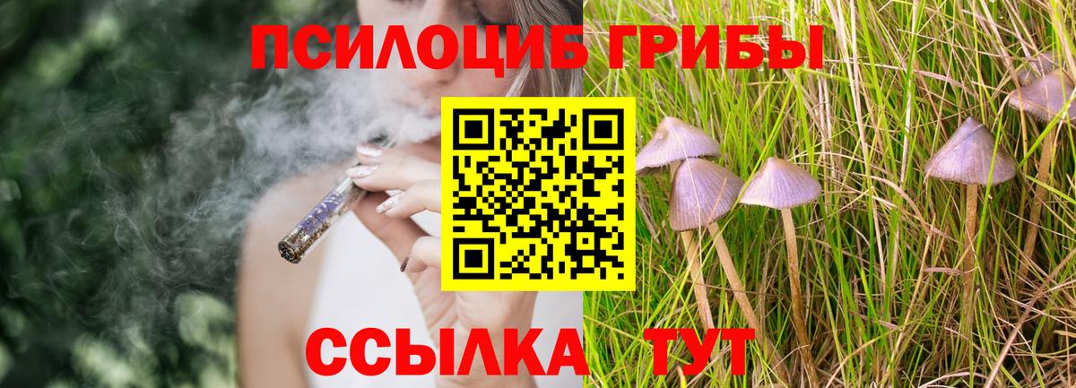 Галлюциногенные грибы Psilocybine cubensis Асино